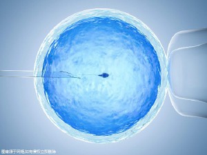 中国供卵代孕中心